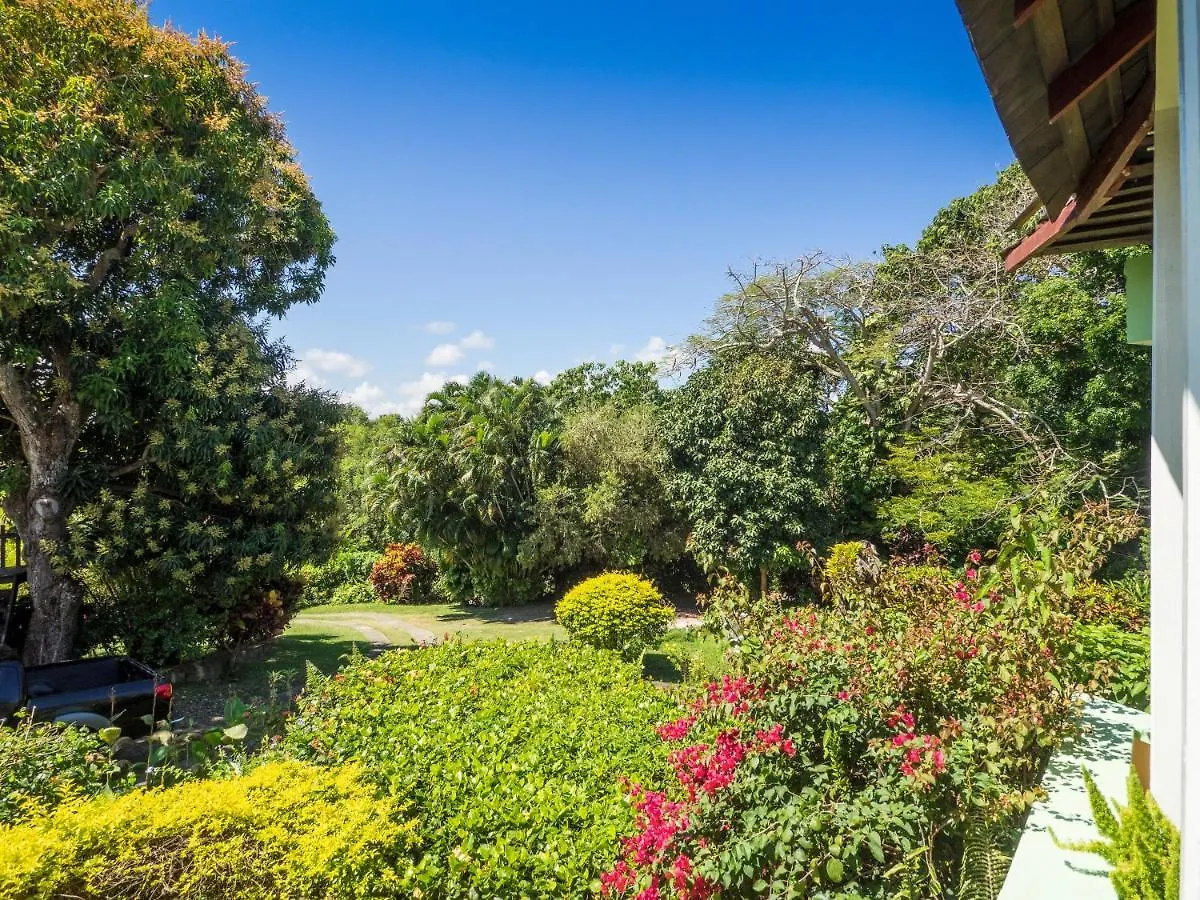 Green Castle Eco Hotel - East Of Ocho Rios And North Kingston Robins Bay 0*,  Jamajka