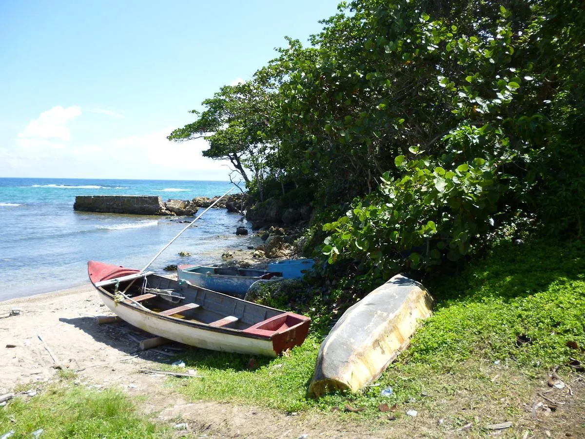 Green Castle Eco Hotel - East Of Ocho Rios And North Kingston Robins Bay 0*,