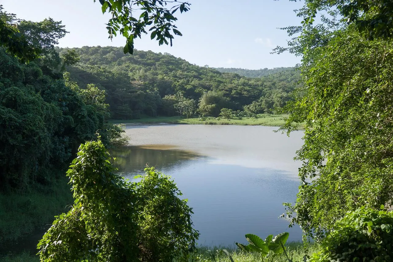 Green Castle Eco Hotel - East Of Ocho Rios And North Kingston Robins Bay Domek letniskowy