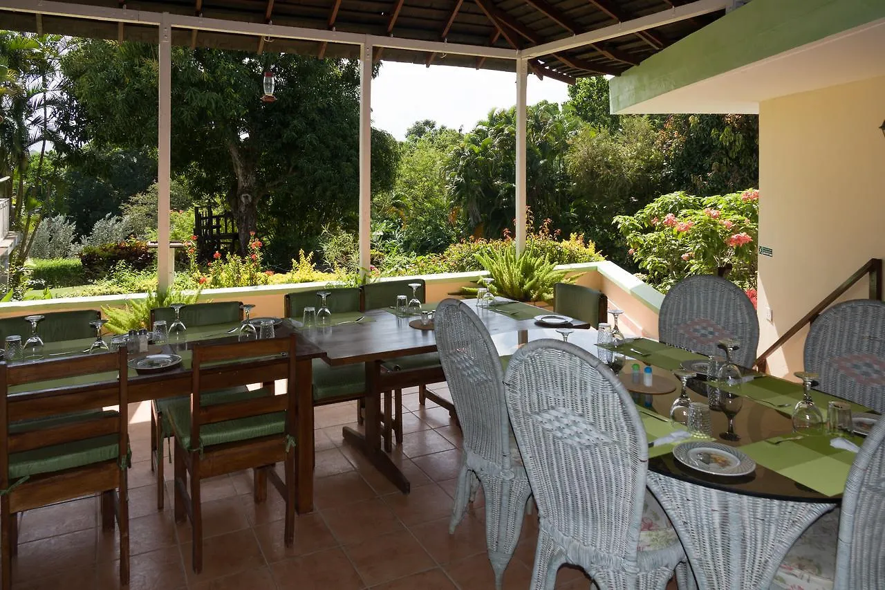 Green Castle Eco Hotel - East Of Ocho Rios And North Kingston Robins Bay