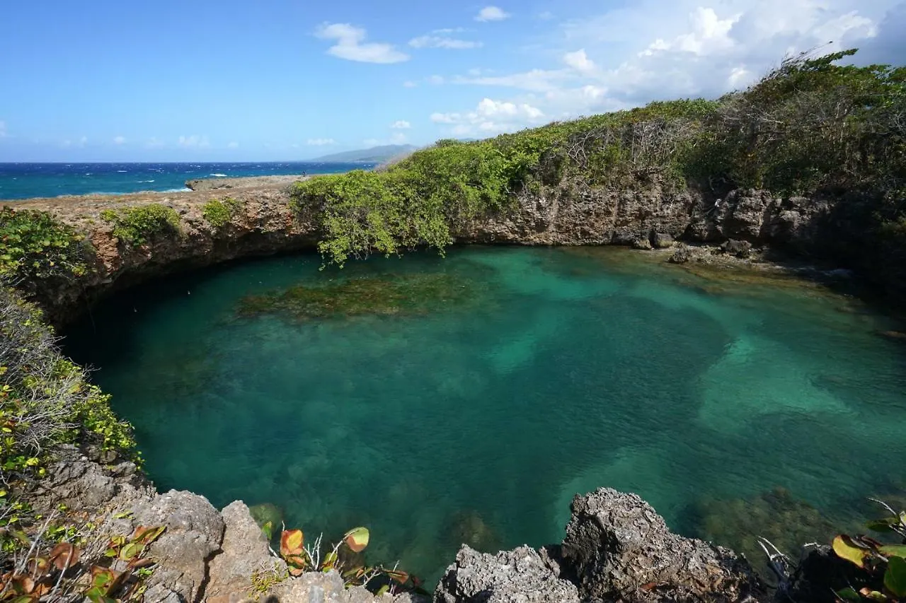 Domek letniskowy Green Castle Eco Hotel - East Of Ocho Rios And North Kingston Robins Bay Jamajka