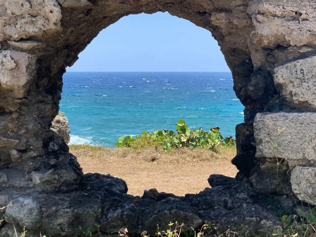 Green Castle Eco Hotel - East Of Ocho Rios And North Kingston Robins Bay Domek letniskowy